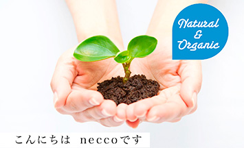 hair salon necco（ネッコ）の店舗画像4