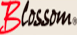 L-Blossom(エルブロッサム)北上尾店