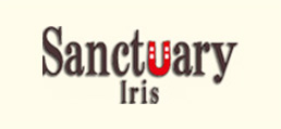 Sanctuary Iris(サンクチュアリイリス)
