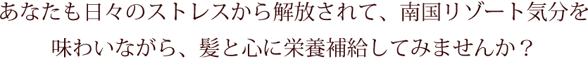 あなたも日々のストレスから解放されて、南国リゾート気分を味わいながら、髪と心に栄養補給してみませんか？